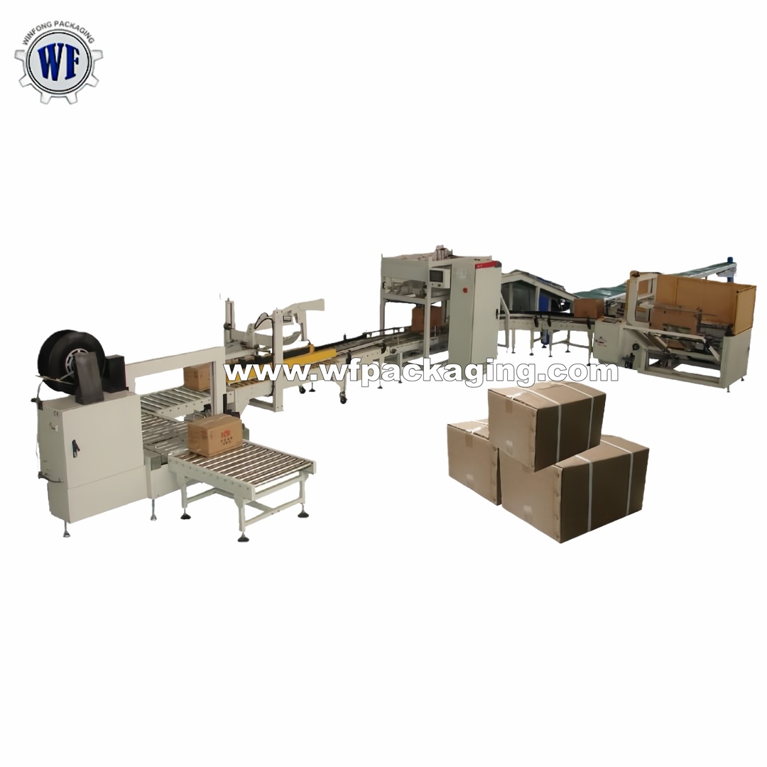 LB450-2 Automatic Pouch Cartoning Line