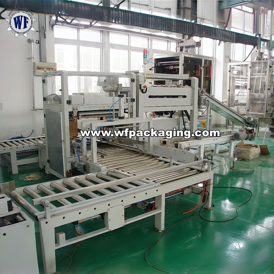 LB450-2 Automatic Pouch Cartoning Line