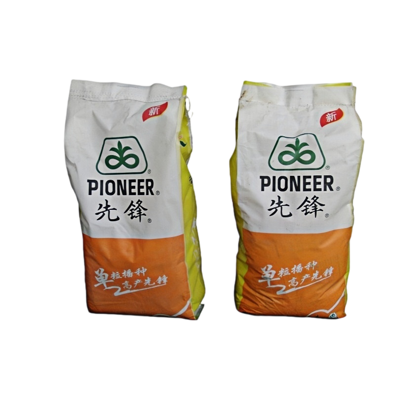 Bag into PP Woven bag Secondary Packaging Machine.png Bag into PP Woven bag Secondary Packaging Machine.png