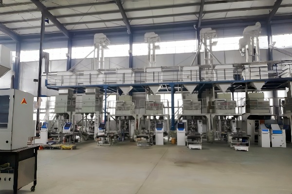 Automatic VFFS food packaging machine line.jpg