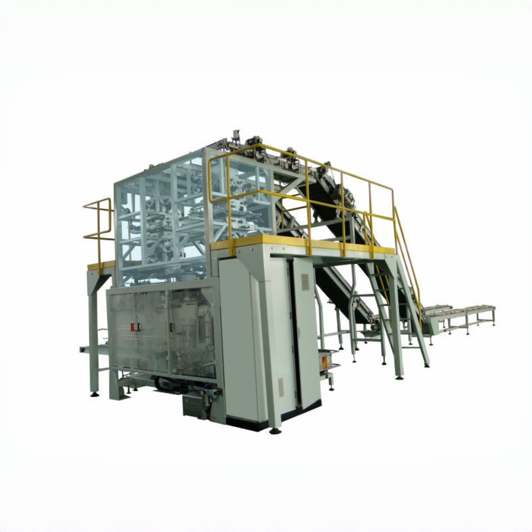  Seconary Packaging Machine For Packing Primary Bag Into  Big Bag .jpg